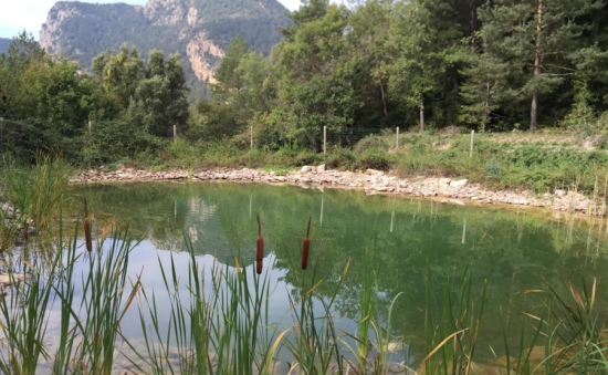 Embalse naturalizado